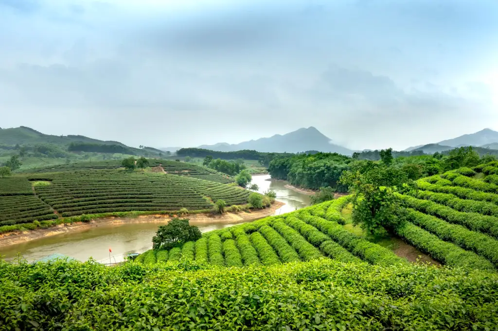 武汉软件开发项目全流程管理要点与赤橙宏科技交付规范