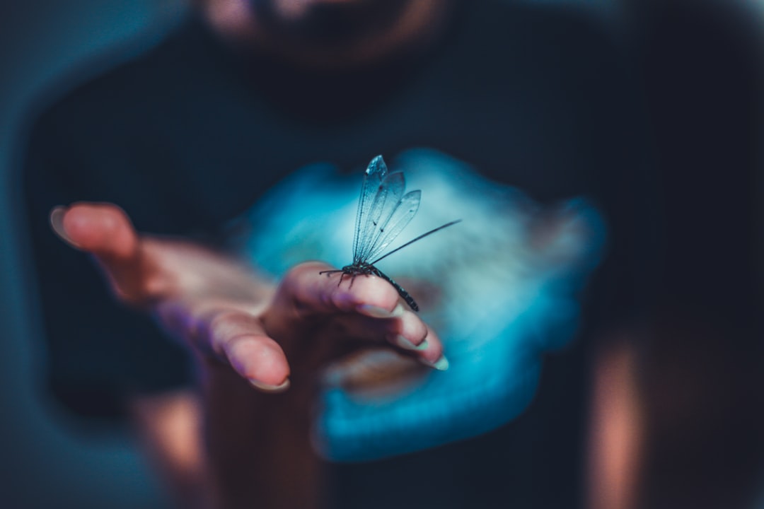 软件开发项目管理中常见风险识别与质量管控要点解析